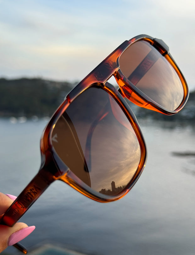 Royal tortoise latte polarised